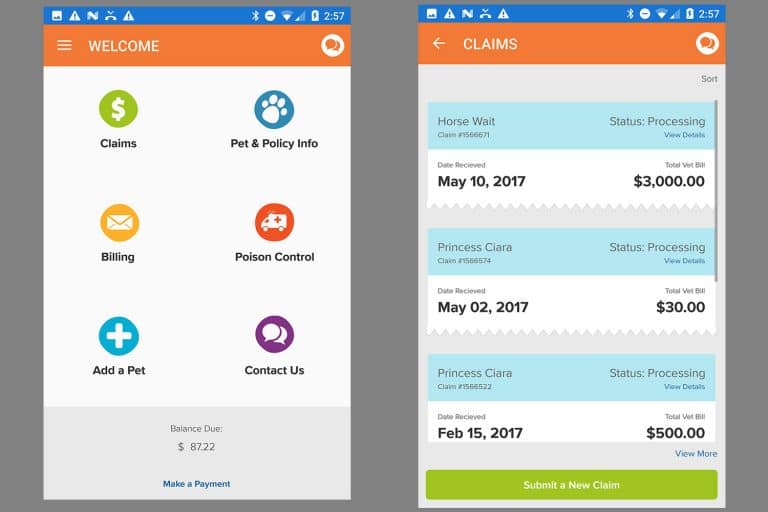 New App Streamlines ASPCA Insurance Claims