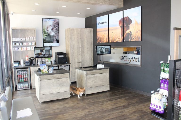 CityVet Opens Ninth Texas Hospital