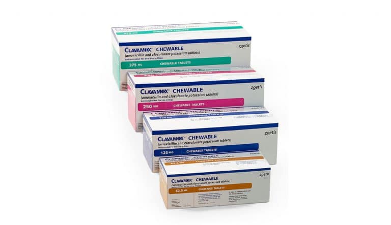 Clavamox Now Available in Chewable Tablets