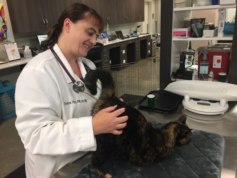 Sonoma Pharmaceuticals hires veterinary adviser