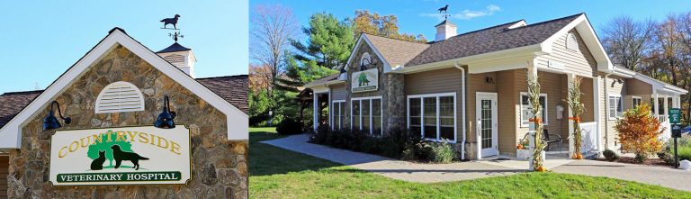 Connecticut Clinic Joins Community Veterinary Partners