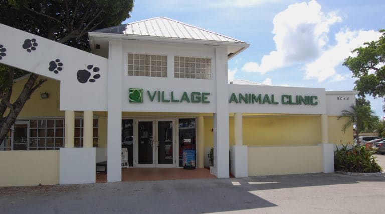 CVP, CityVet Chains Expand Again