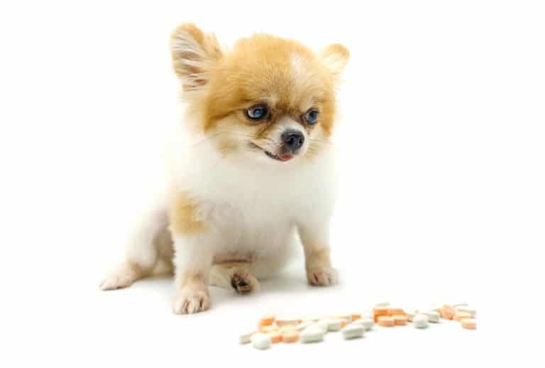 Veterinarians Sell 62% of Pet Drugs