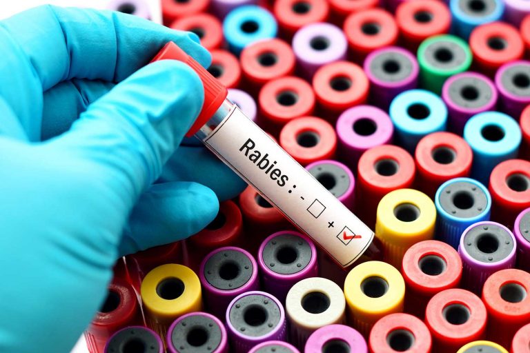 BIVI Spreads the Word About Rabies Prevention