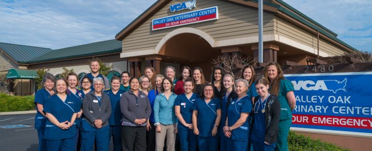 VCA Hospitals Now Under Mars Ownership