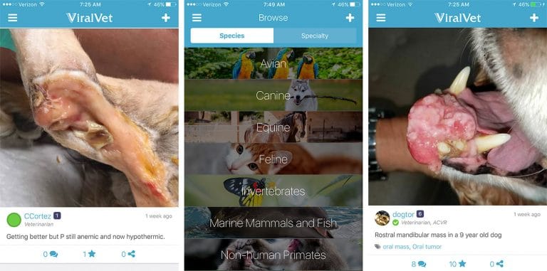 ViralVet App Surpasses 10,000 Users