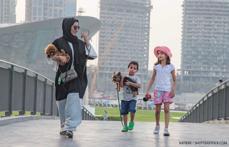 UAE Cracks Down on Unlicensed Veterinarians