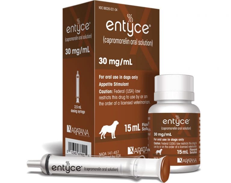 Coming in October: Canine Appetite Stimulant Entyce