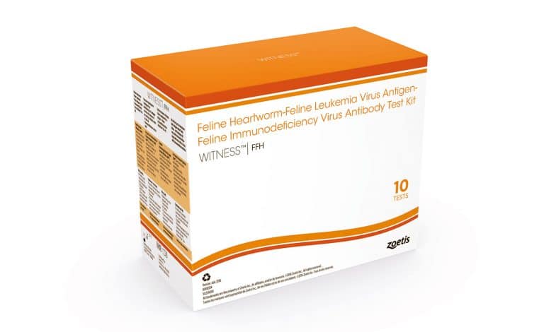 New In-Clinic Test Checks for 3 Feline Diseases