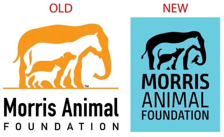 Morris Animal Foundation Unveils New Logo