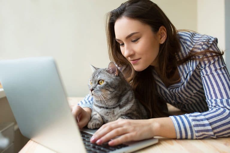 iVET360 Releases Digital Marketing Benchmarks