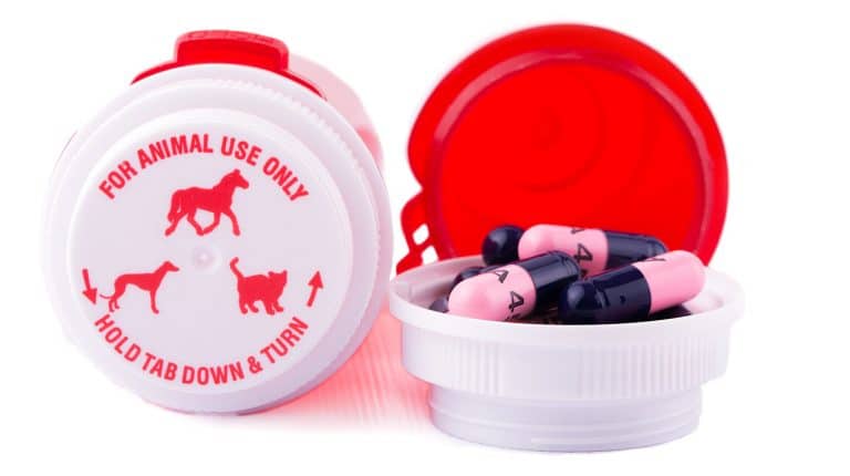 Trupanion Publicizes Antidote for Lost Drug Sales