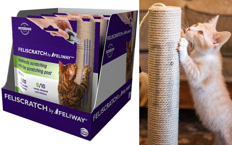 Ceva Offers Solution for Errant Cat Scratching