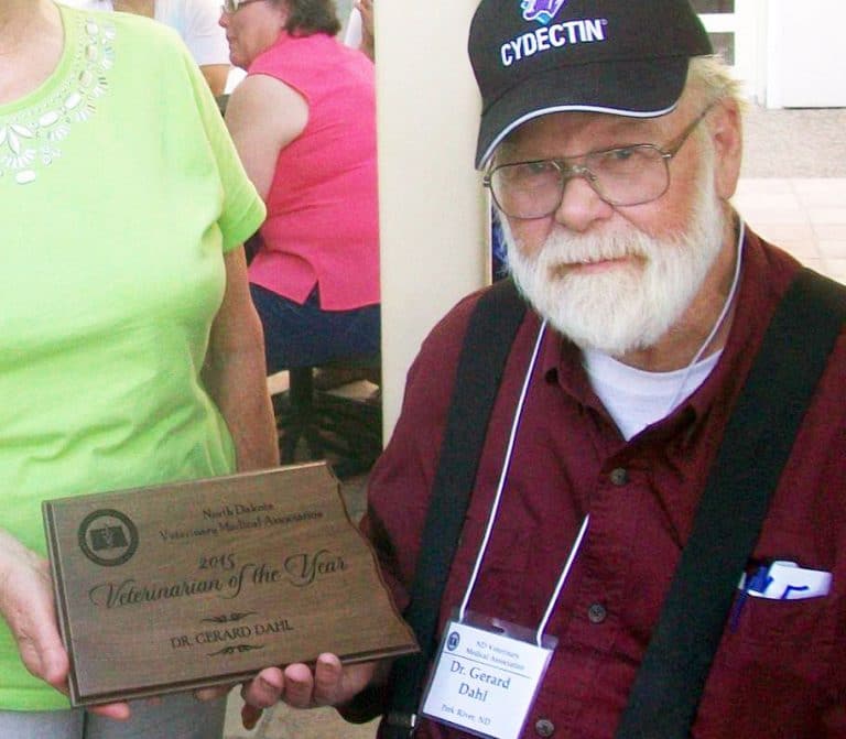 North Dakota practice owner dies in crash