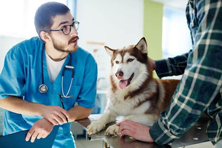 Fear Free to Roll Out Hospital Certification