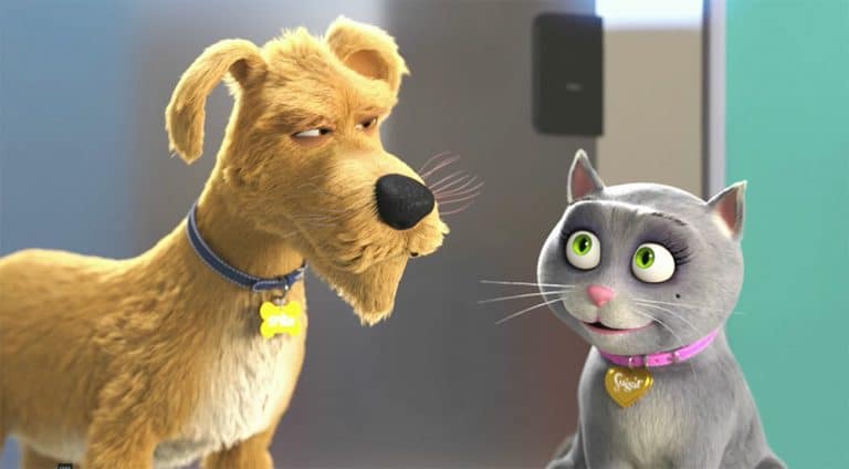 Merck Launches Diabetes Website for Pet Owners