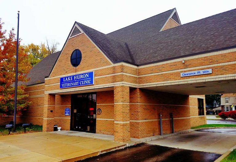 Hospital Merger Creates Midwest Veterinary Partners