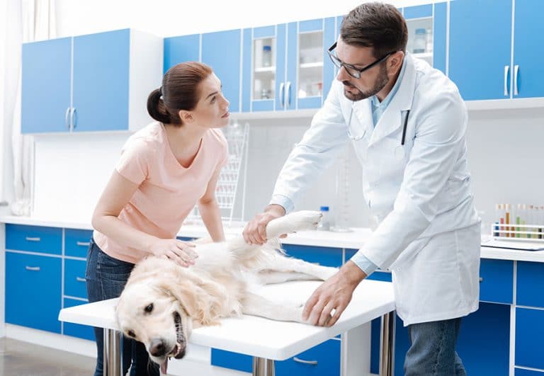 Charging a Lower Markup for the Care of Chronic Disease Can Help Business