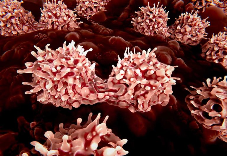 VetCell Therapeutics Partners With Vet School