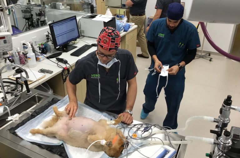 Brooklyn Veterinary Hospital Gets New Address