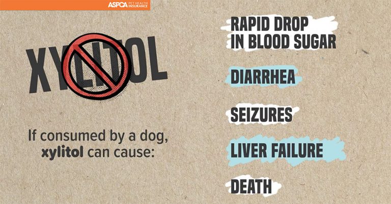 Pet Insurer Educates About Peanut Butter Risk