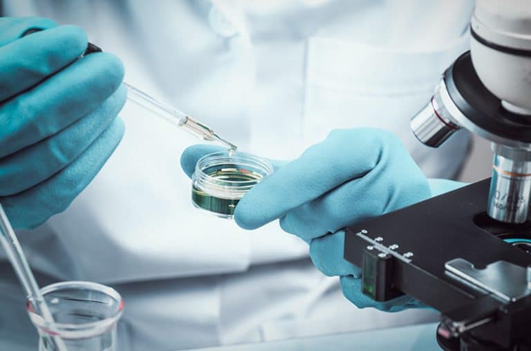 Zoetis issues call for parasite research proposals