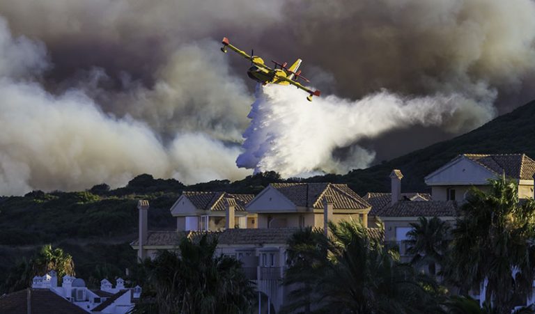 VCA offers free boarding in California fire zones