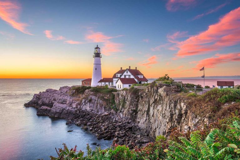 Maine Emerges as a Center for Animal Health