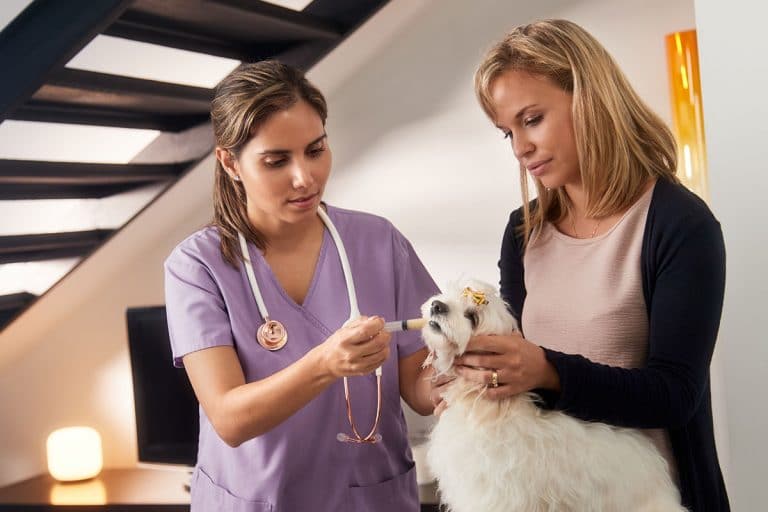 MVS Pet Care awards first mobile franchises