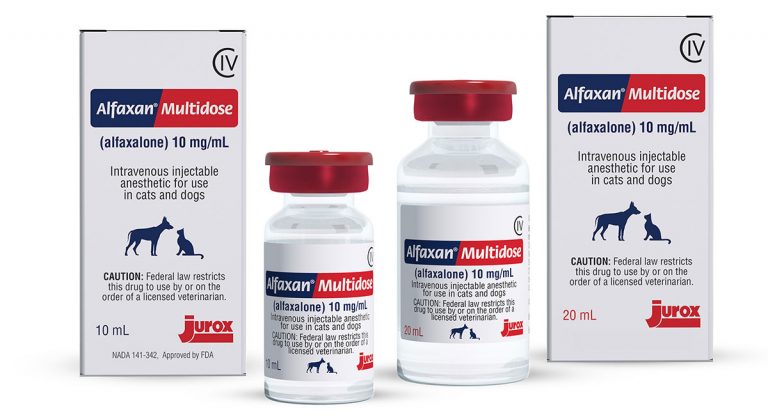 Jurox schedules August release of Alfaxan Multidose