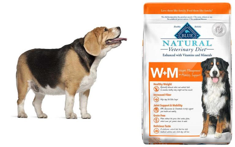 Blue launches vet-exclusive weight, mobility dog food
