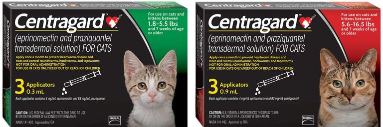 Boehringer unveils new feline heartworm preventive