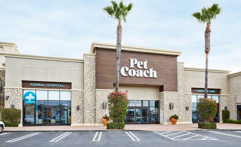 Petco dives deeper into veterinary medicine