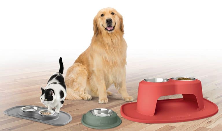 PetComfort feeding bowl passes human standards test