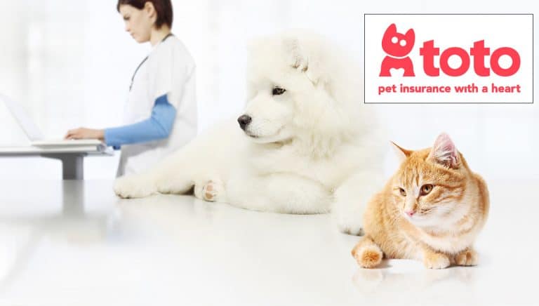 New pet insurer enters with a charitable goal