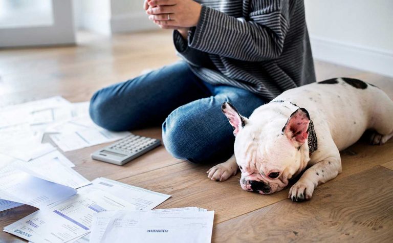 Scratchpay introduces interest-free client financing