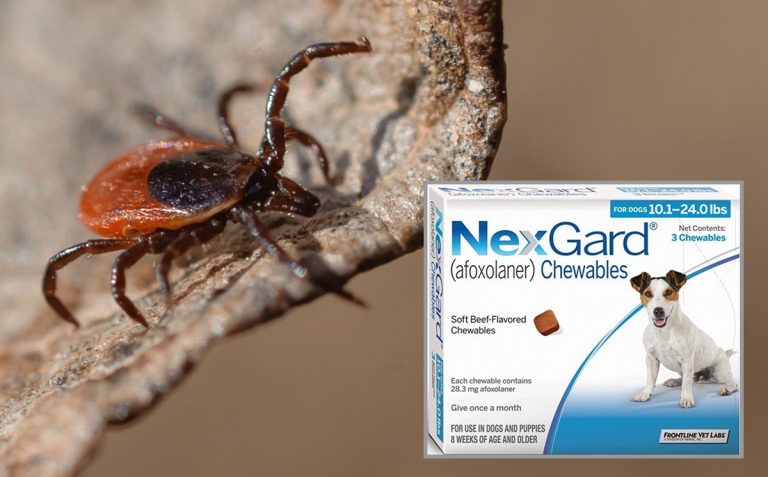 NexGard earns Lyme disease-related label claim