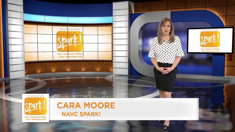 New Spark video: Learn to hire top talent