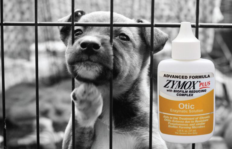 Pet King Brands donates 12,000 bottles of Zymox Plus