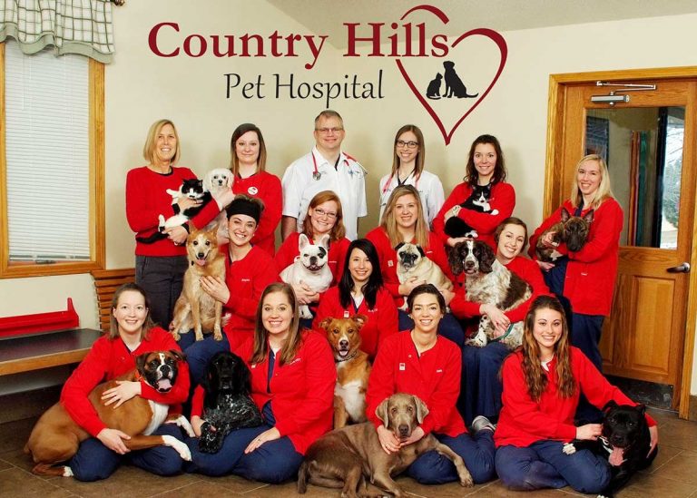 Wisconsin clinic wins AAHA Practice of the Year award