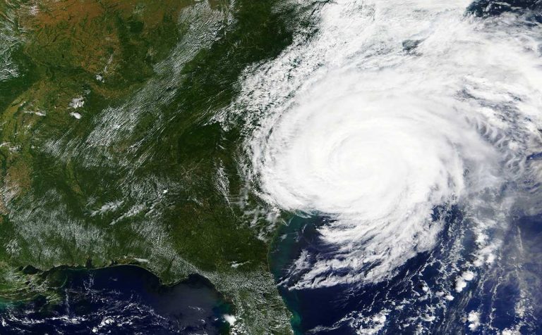 AVMA Supports N.C. Hurricane Relief Efforts