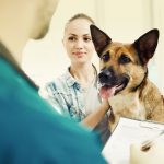 pet insurance