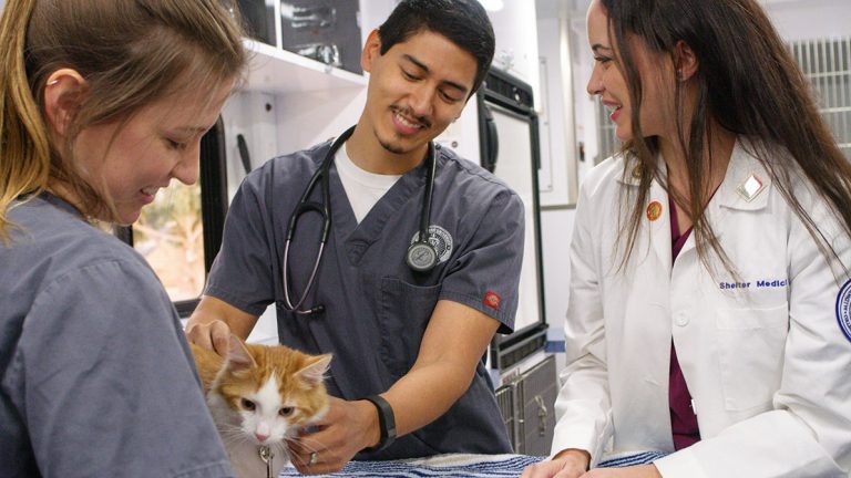 PetSmart Charities promotes shelter medicine careers