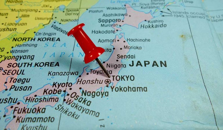 Japanese company launches canine pancreatitis drug