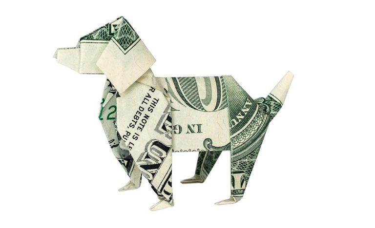 New fund invests in booming pet industry