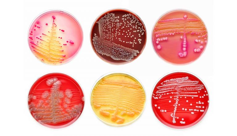 AAHA offers infection-control standards for clinics