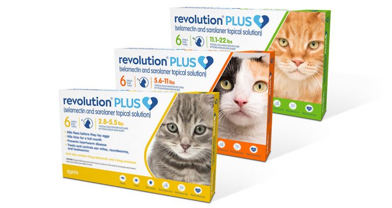 Zoetis introduces 6-in-1 parasiticide Revolution Plus