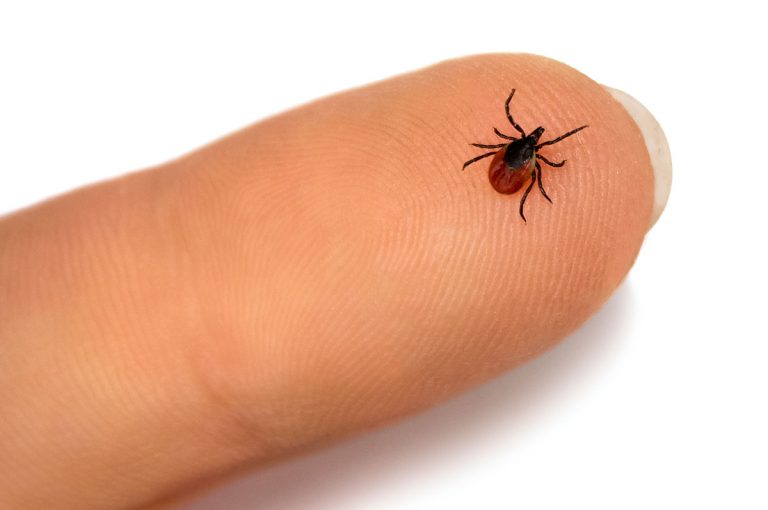 New report from Brakke analyzes parasiticide market