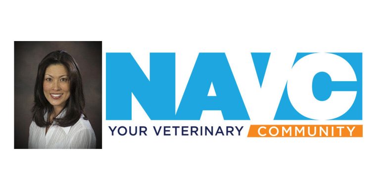 NAVC Media appoints associate publisher