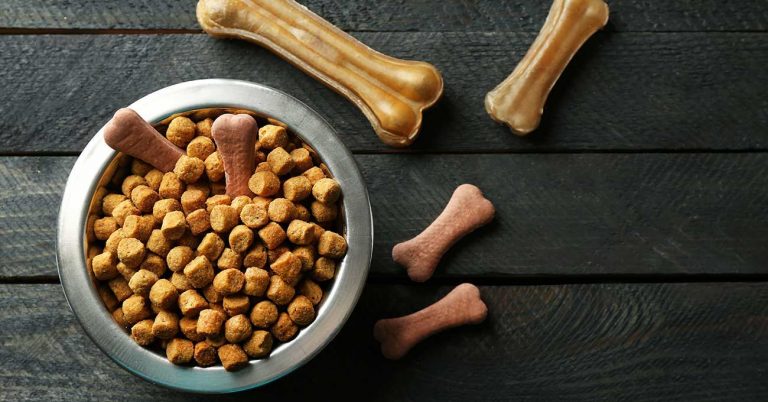 Pet food sales drop nearly 6% at veterinary hospitals